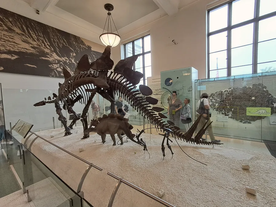 Thyreophora skeletal mount